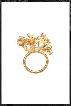 Gold Rubella Ring | Free Delivery - Quick Shipping